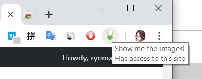 Google Chrome で画像のダウンロードが超捗る拡張機能 I M A Gentleman Lonely Mobiler